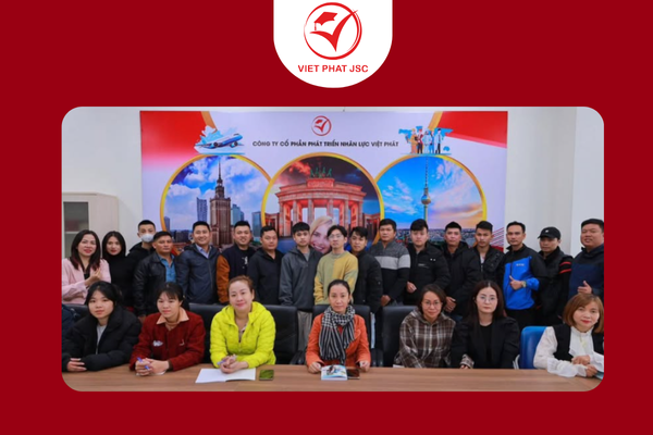 Dịch vụ hỗ trợ từ Nhân lực Việt Phát
