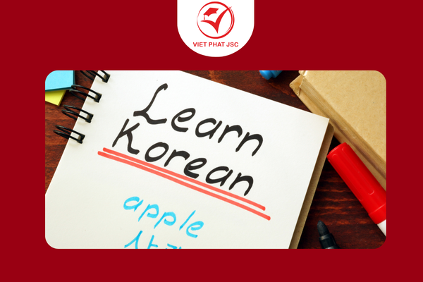 Chuẩn bị hồ sơ hoàn hảo: Nền tảng vững chắc cho học bổng du học Hàn