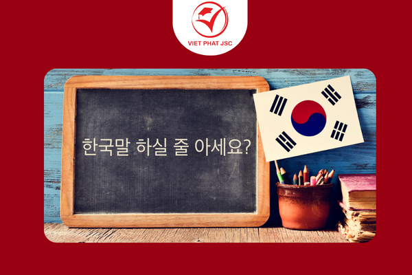 Nâng cao năng lực ngoại ngữ để cạnh tranh học bổng du học Hàn