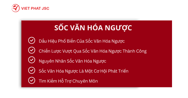 SỐC VĂN HÓA NGƯỢC