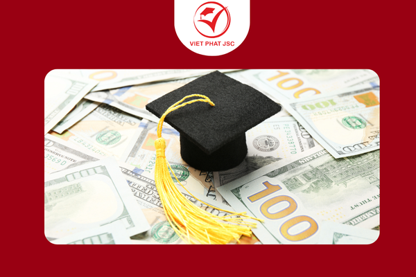 Hướng Dẫn Chiến Lược "Săn" Học Bổng Thành Công