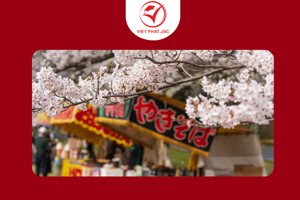 Văn Hóa Ăn Uống Bản Địa