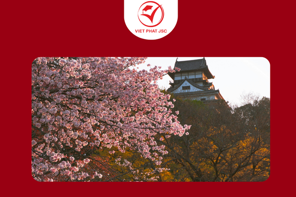 4 Mùa Tuyệt đẹp và sự gắn kết với Văn hóa Nhật Bản