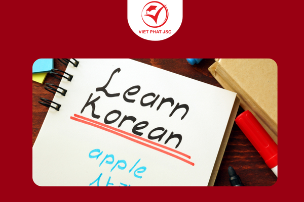 Các bước hành động cụ thể để tăng tốc Học tiếng Hàn