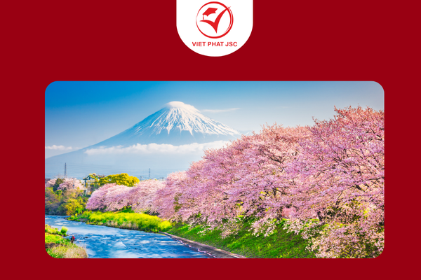 Giai đoạn cốt lõi của quy trình Du học Nhật Bản 2025